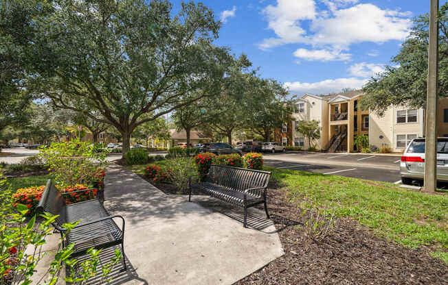 Picnic Area with Shade