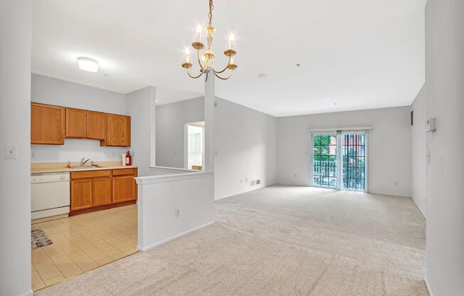 524 Coppola Dr