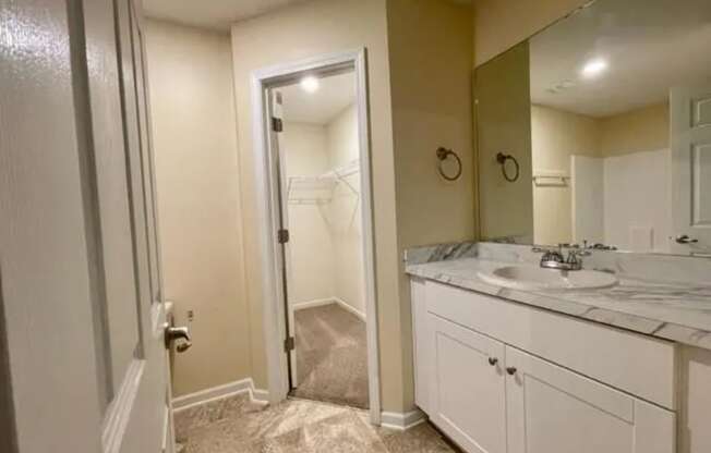 Collins Vineyard Townhomes I Spacious Bathrooms w/ Walk In Closets