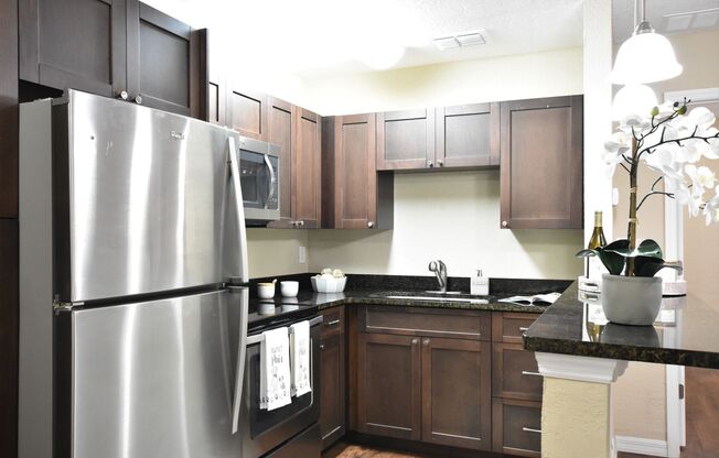 Studio, 1 bath, 350 sqft, $849, Unit Unit 2