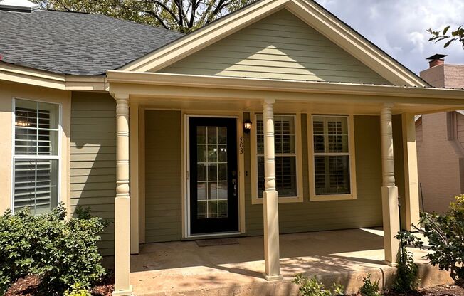 Super Cute Condo in Downtown Georgetown