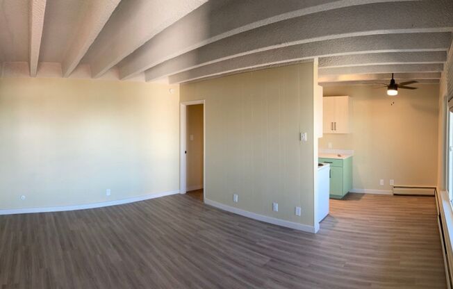 Studio, 1 bath, 445 sqft, $1,199, Unit 207