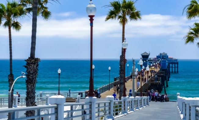a boardwalk with palm trees on one side and the ocean on the other