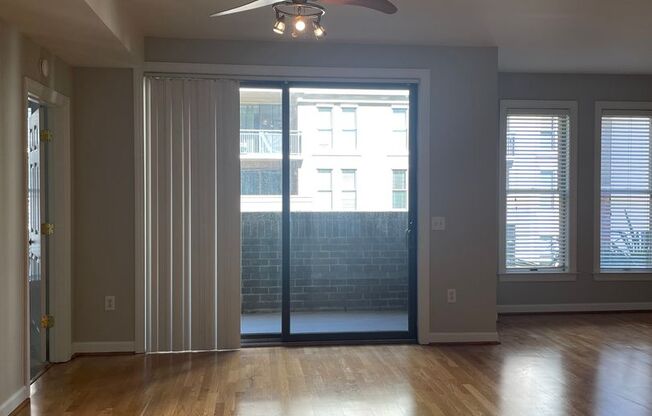 1 bed, 1 bath, $1,600