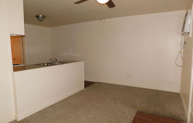 1 bed, 1 bath, 470 sqft, $695, Unit 203C
