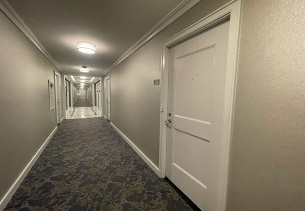 Studio, 1 bath, 536 sqft, $2,800, Unit 4B