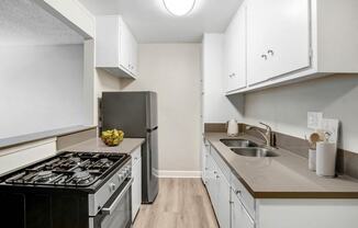 the preserve at ballantyne commons apartment kitchen with stove and sink