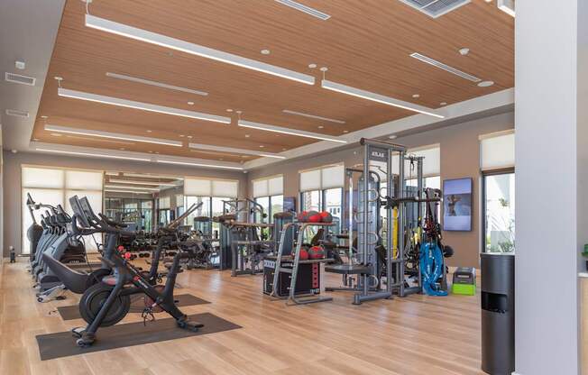 A gym with a variety of equipment including treadmills, weights, and exercise machines at Portofino Vineyards, Fort Myers