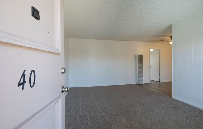 Trade Winds Apartments