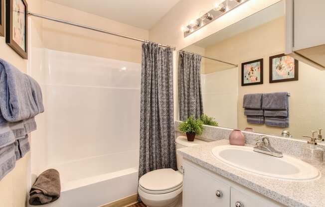 Model home bathroom with a shower toilet and sink at Renaissance Park Apartments, California