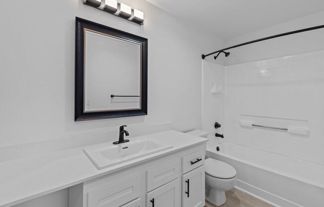 a bathroom with a sink and a toilet and a mirror