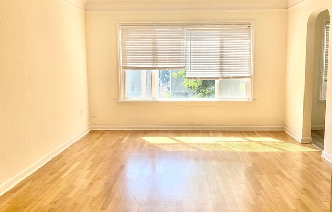 *One month free rent!* BEAUTIFUL and SPACIOUS 1 Bed + Office, 1 Bath in Capitol Hill Available!