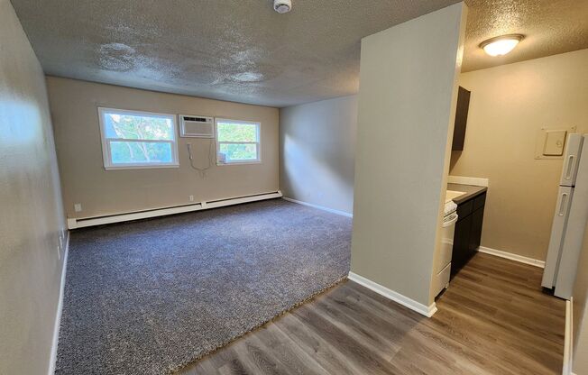 Studio, 1 bath, 550 sqft, $595, Unit Unit 15