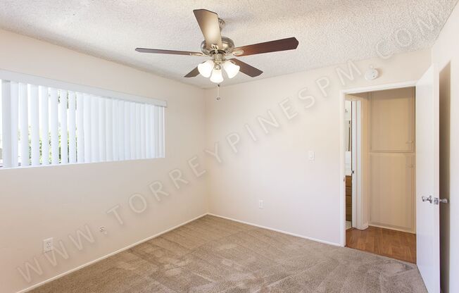 *COMING SOON!* Charming 1 Br Just Blocks From Sail Bay with Parking!