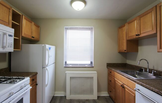 Treehaven Apartments