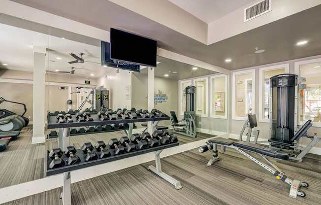 A gym with a variety of equipment including a rowing machine.