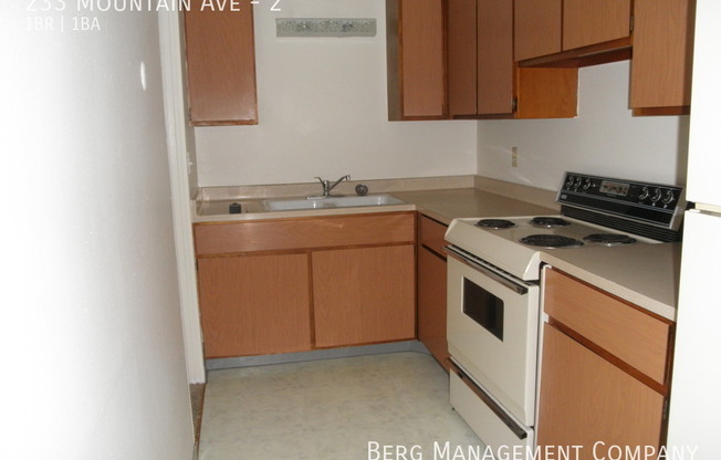 233 MTN AVE