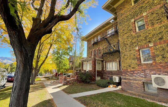 1 Bedroom 1 bath Condo in Historic SLC building!