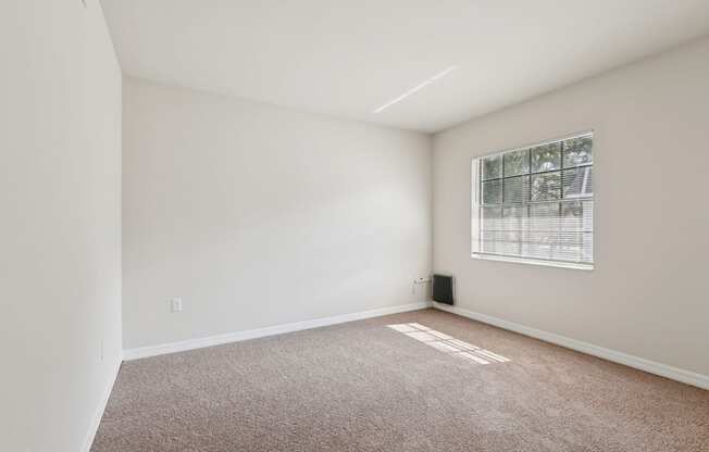 A room with a carpeted floor and a window with blinds.