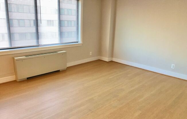 Studio, 1 bath, 469 sqft, $1,995, Unit 0202