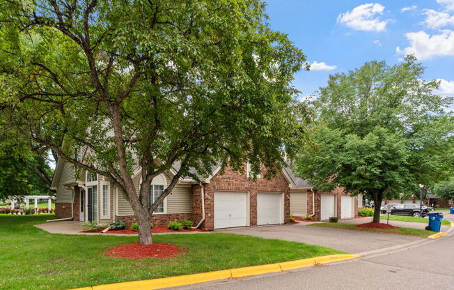 A tree in front of a house with a red mulch bed.