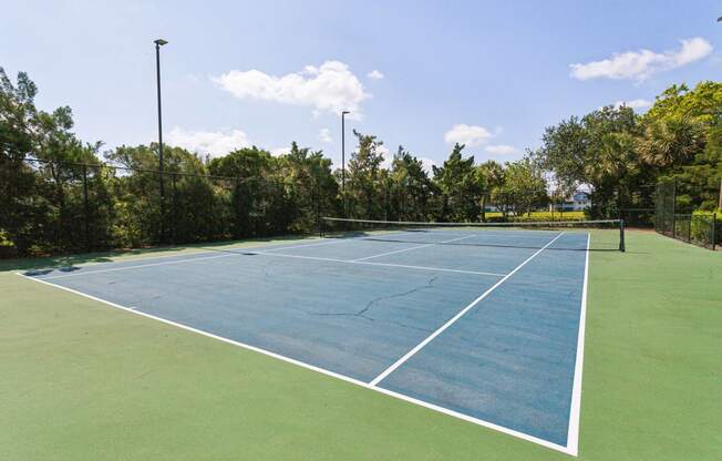 a blue tennis court with green grass and trees