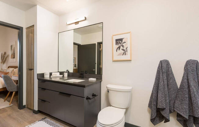 Model bathroom with dark, designer vanity