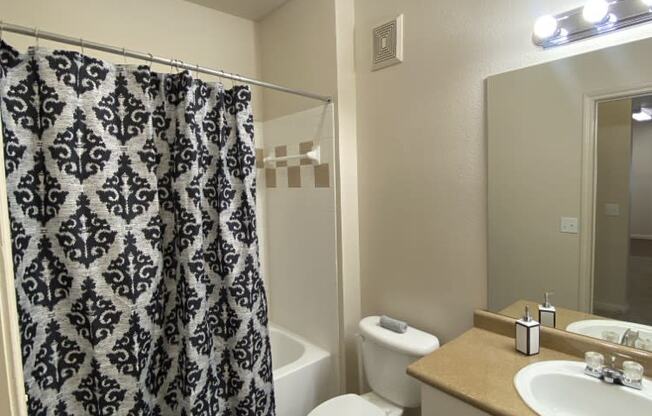 a bathroom with a shower toilet and sink and a mirror