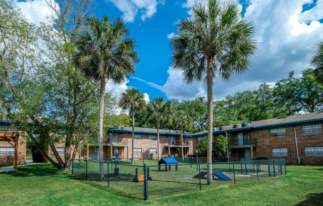 Fenced dog park with agility course and lush grass in the middle of Watermark apartment buildings in Lakeland, Fl.