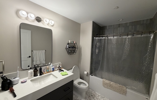1 bed, 1 bath, 725 sqft, $3,700, Unit 209
