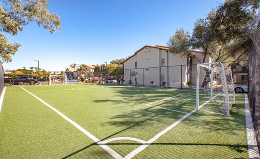 Soccer Field