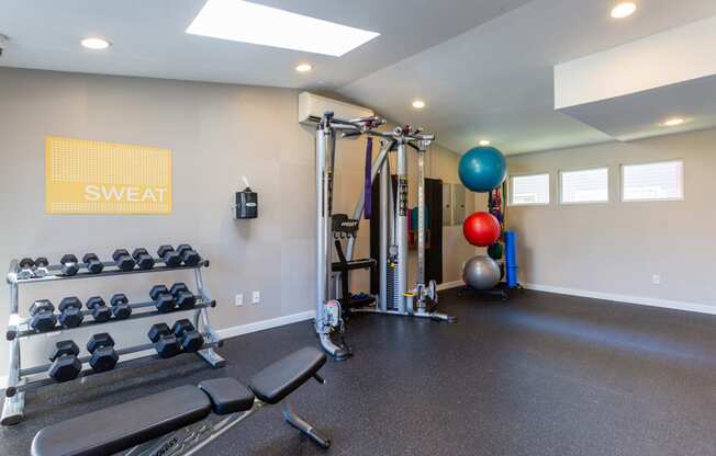 a gym with weights and a yoga ball on the floor and a wall of windows