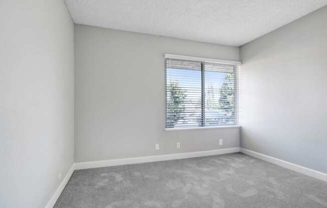 an empty living room with a large window and carpeting