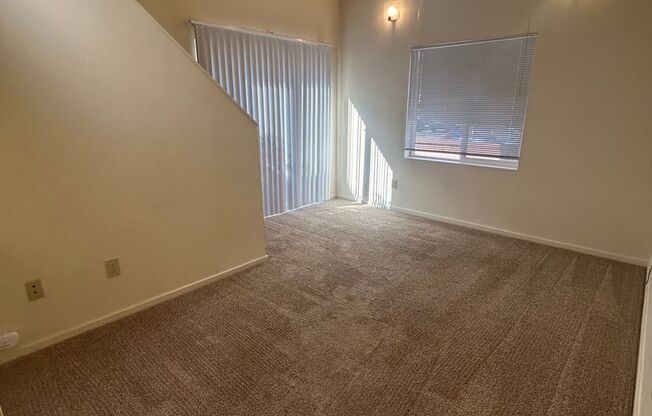 1 bed, 1 bath, $1,295, Unit 116