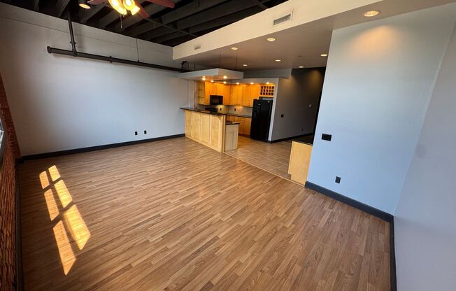 Beautiful Loft in Downtown Springfield