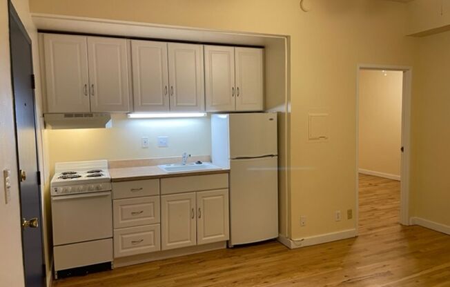 1 bed, 1 bath, 390 sqft, $1,155, Unit 309