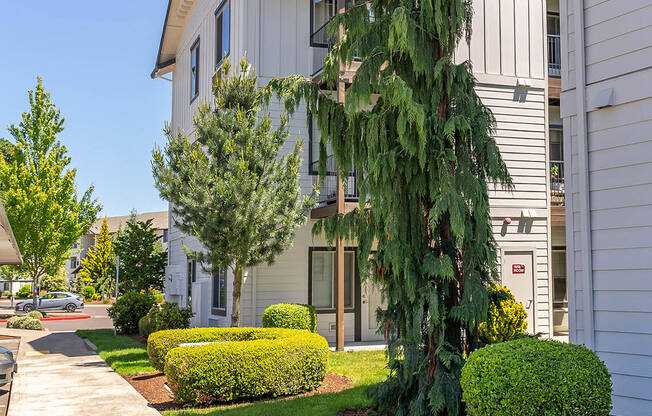 A white building with a tree in front of it at Riverplace Apartment Homes, Independence, 97351