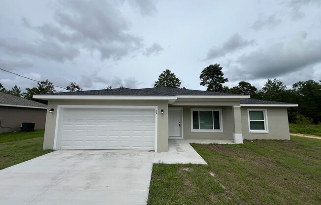 Stunning BRAND NEW UPGRADED 3 Bedroom / 2 Bath Home in Ocklawaha!