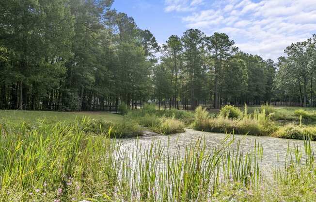 a small body of water with trees in the background at Trails at Short Pump Apartments, Richmond, VA