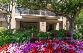 203 YOAKUM PKWY