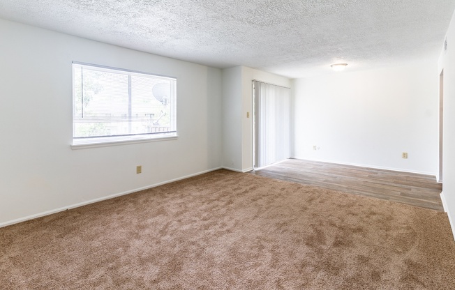an empty living room with carpet and a window