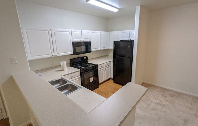 1 bed, 1 bath, $1,250, Unit # 2296