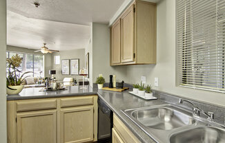 Mirador kitchen