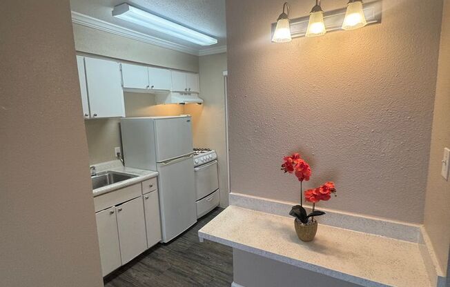 Studio, 1 bath, 325 sqft, $1,000, Unit 134A