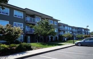 508 Darby Drive #304