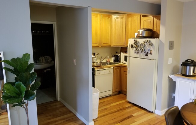 1 bed, 1 bath, 552 sqft, $1,995, Unit 20