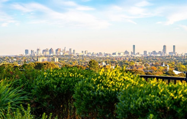 Outdoor Entertainment Areas