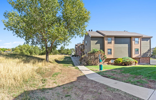 a house with a sidewalk and trees in front of it