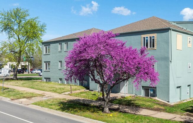 Studio, 1 bath, 275 sqft, $595, Unit 416-05