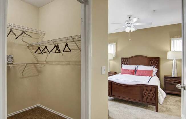 A spacious bedroom with walk-in closet here at Mozaic at Steele Park featuring plush carpet, neutral walls, and a ceiling fan with light. The open closet includes built-in shelving and hanging space, while the adjoining bedroom comfortably fits a full bedroom set with matching nightstands for added storage.